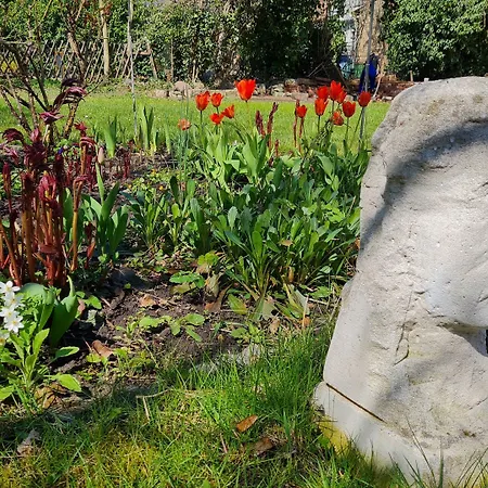 Cranach-herberge Centre 3*